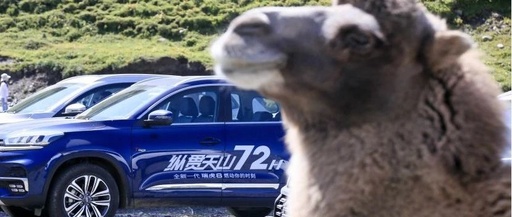 穿行独库公路，纵贯天山南北72小时，全新一代瑞虎8侠骨变柔情