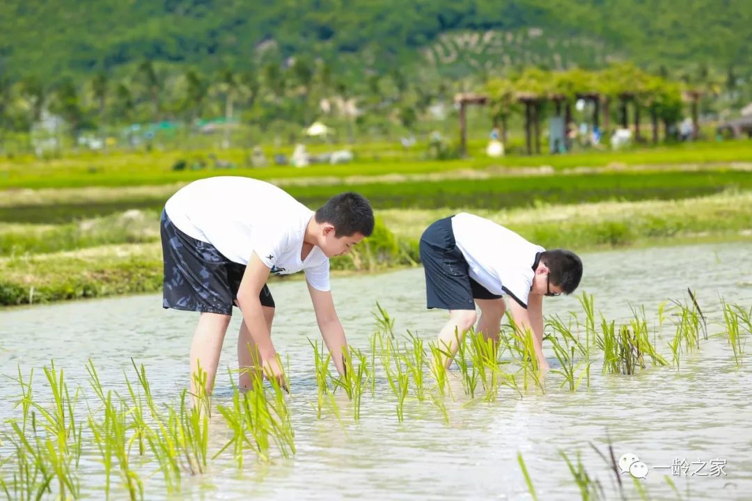 快乐暑假·充实一夏—博鳌一龄研学之旅第二期圆满落幕