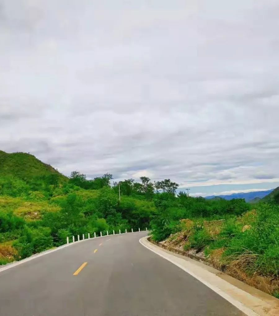 途经狼牙山万亩花海,西山北乡政府,龙门湖风景区 便进入龙西旅游公路