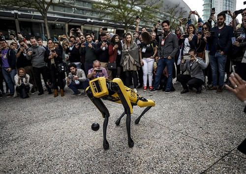 为机器人打造万能底座：机器人安卓的产业机遇