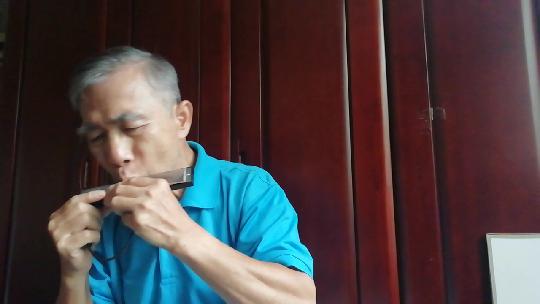 口琴独奏我和我的祖国