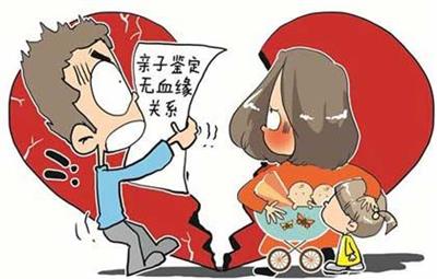 <b>由婆媳矛盾引发的亲子鉴定</b>