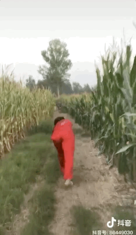 可现实是,大部分人选择乖乖念书,找工作,结婚,生子,过着平凡而安稳的