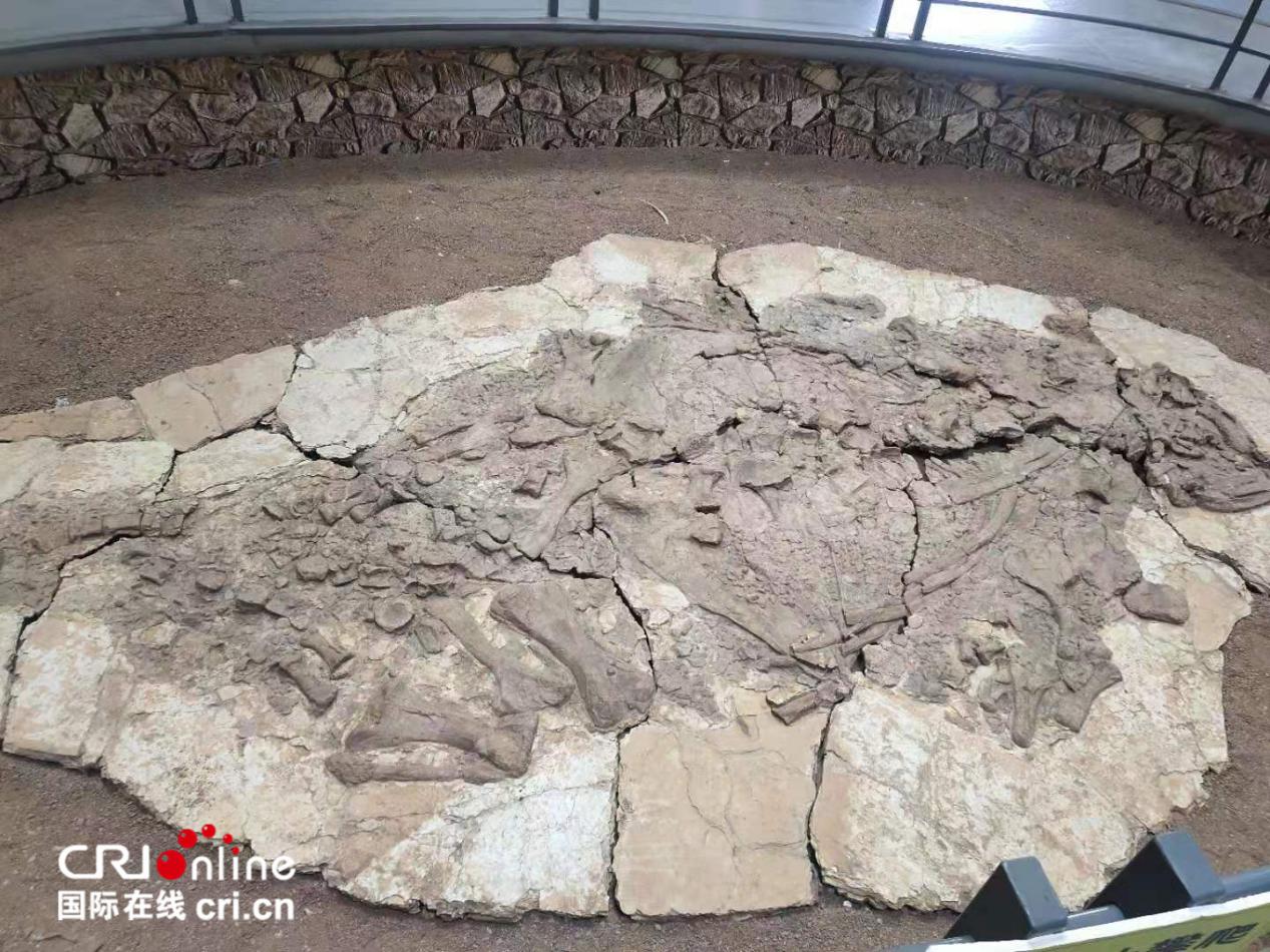 拉近了距离,这也让朝阳化石文化旅游产业搭乘上"1小时经济圈"的东风