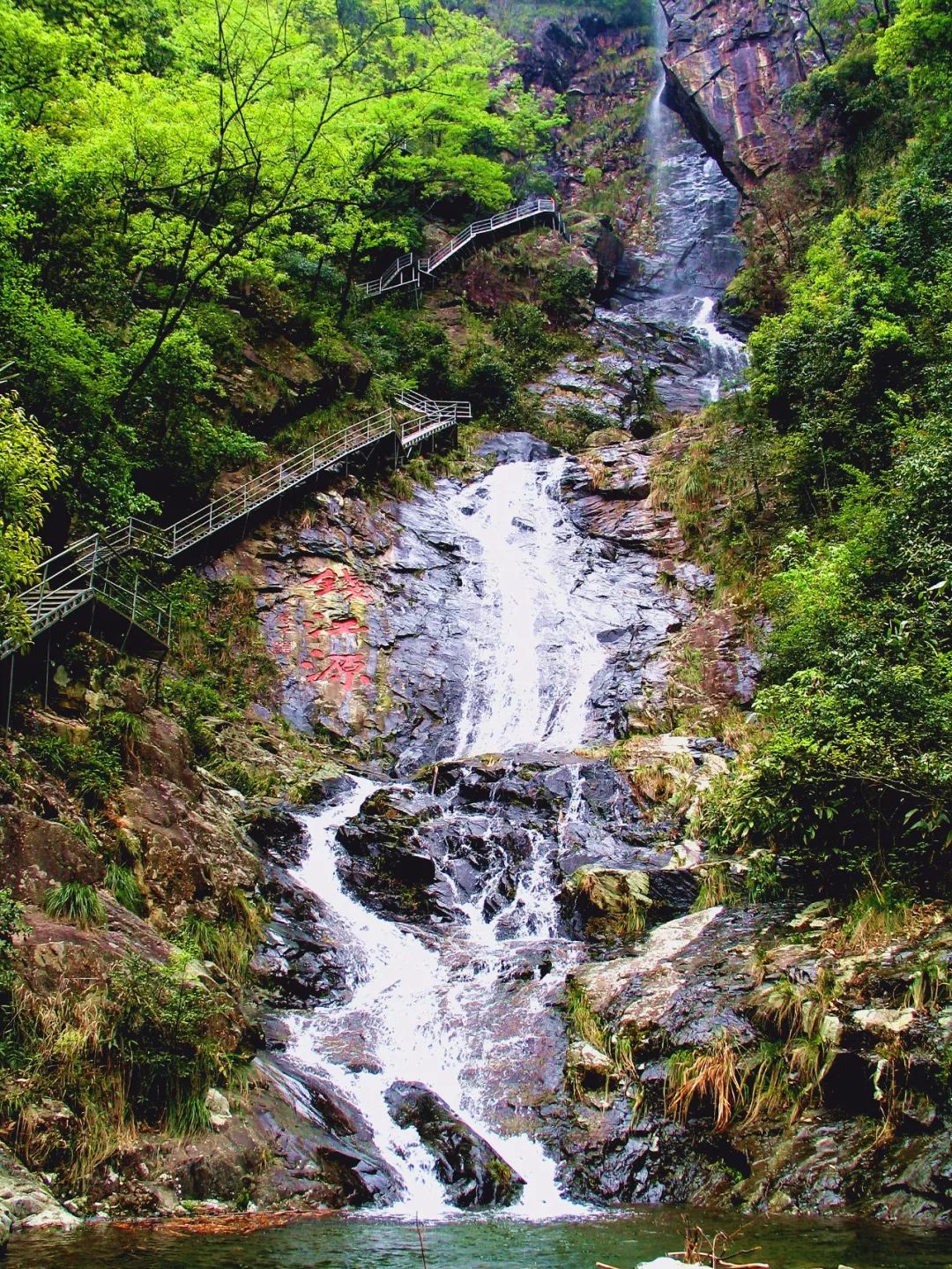 钱江源森林公园 || 好山好水看不足