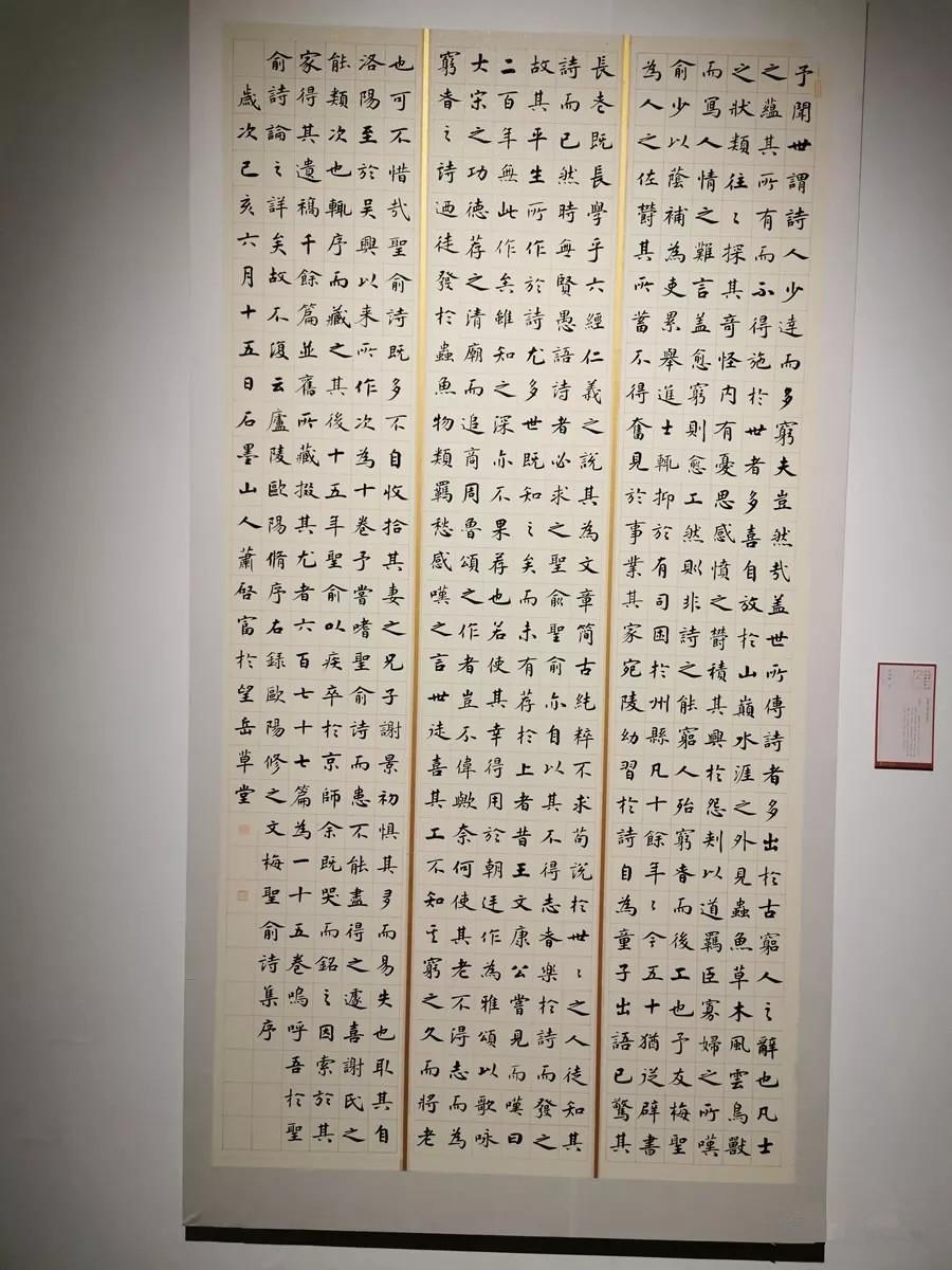 亮亮十二届国展的楷书