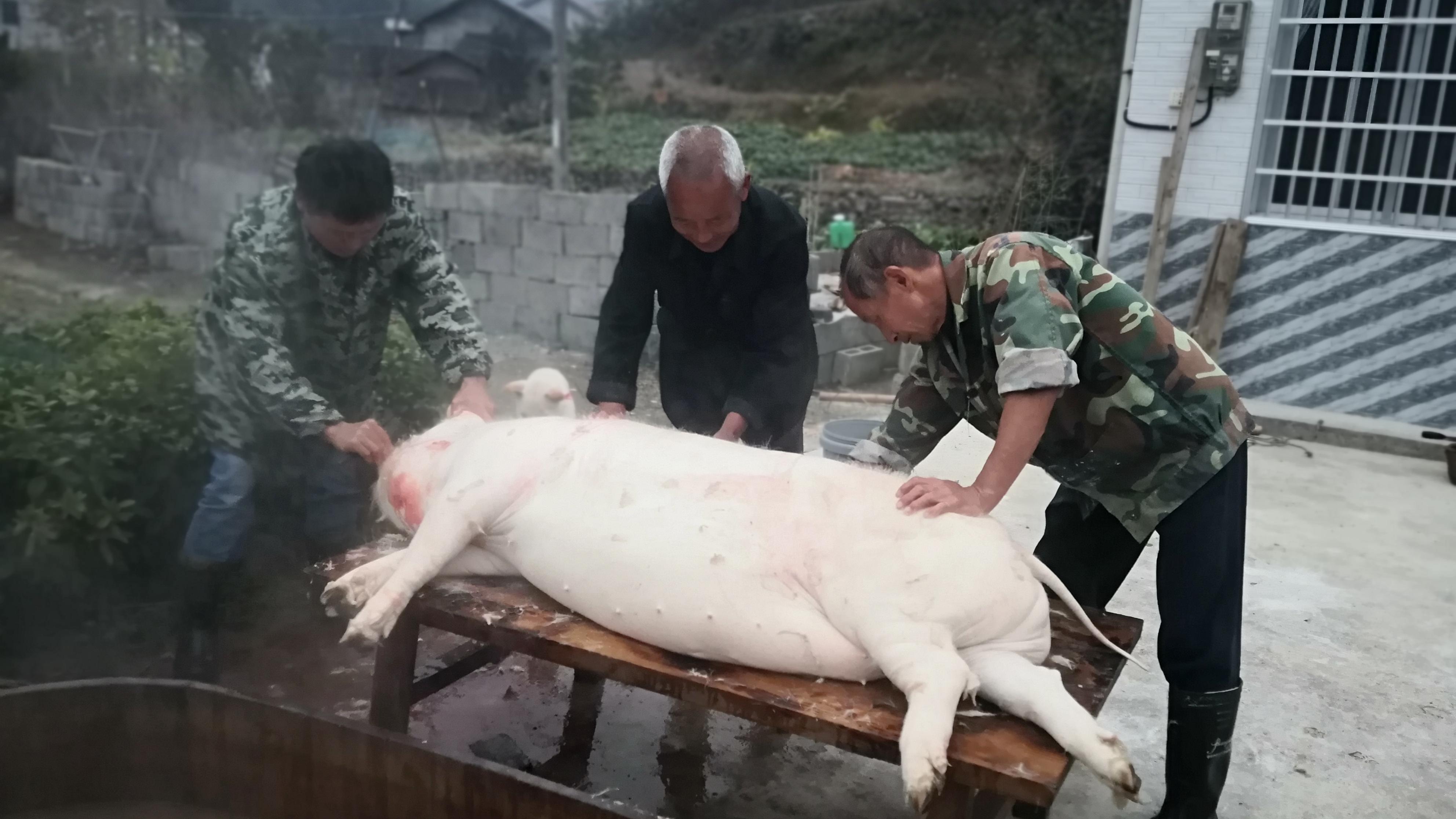 浙江农村猪肉多少钱一斤?小伙带你到肉铺看看,听到价格不敢相信