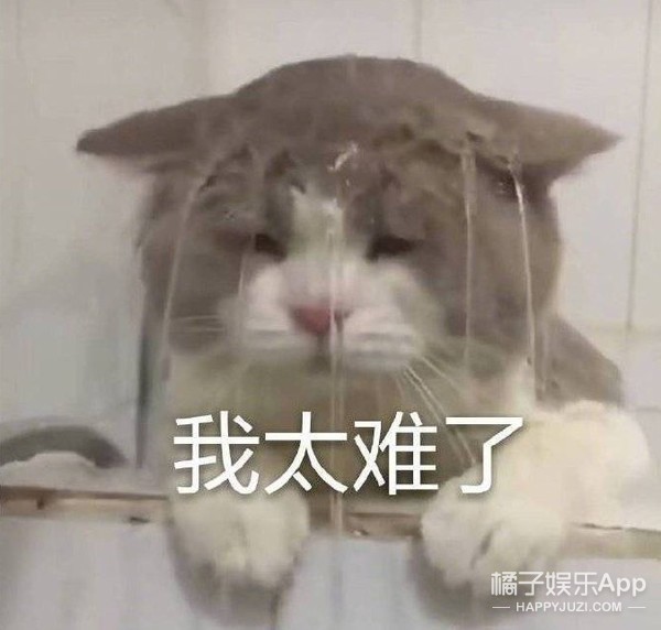 这事儿一出，嘲她的人比认识她的人还要多了
