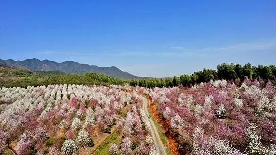 不要总说西递宏村，安徽这二十个小众景点，也总另人流连忘返