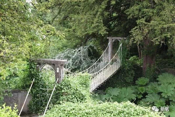 「新氧App」中国第一位伯爵夫人竟是现实版的紫菱？玛丽苏女主本体！