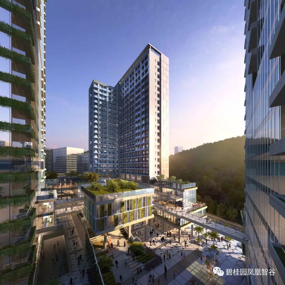 碧桂园 . 凤凰智谷 | 山海湾区为凤筑巢,科技绿谷陪伴成长__凤凰网