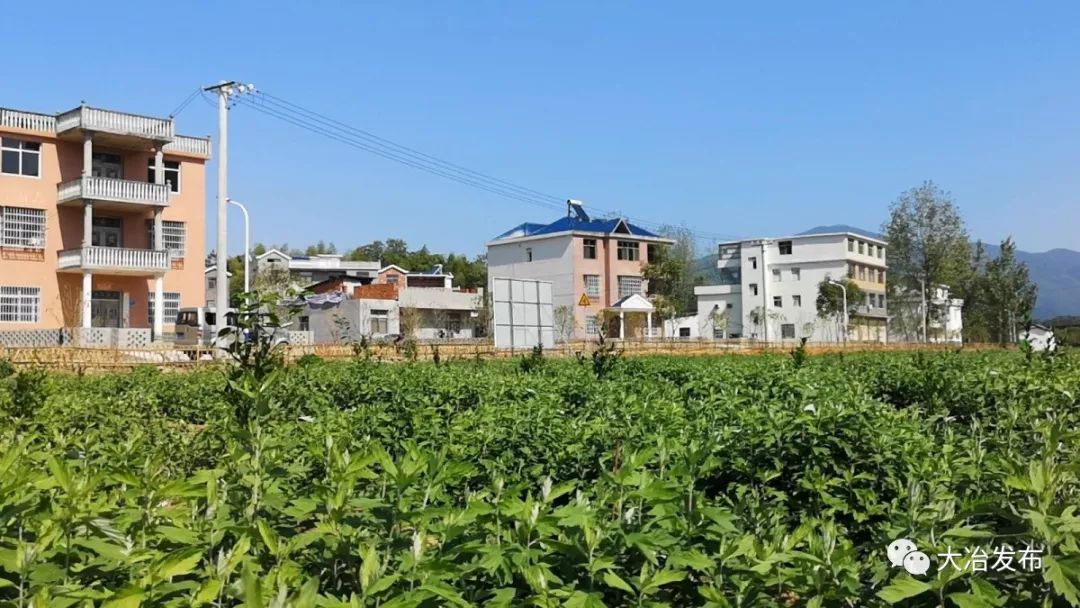 大箕铺镇小箕铺村