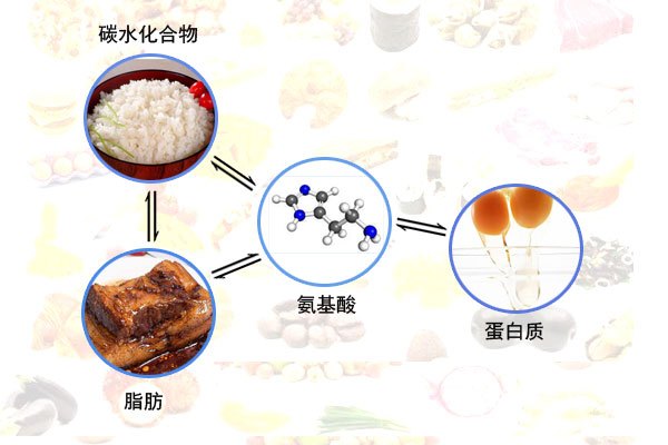 摄入了足够的"好"碳水化合物时,脑部会分泌一种叫血清素的化学物质,使