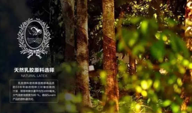 「钛媒体」什么枕头？林志颖都爱不释手，我也要睡