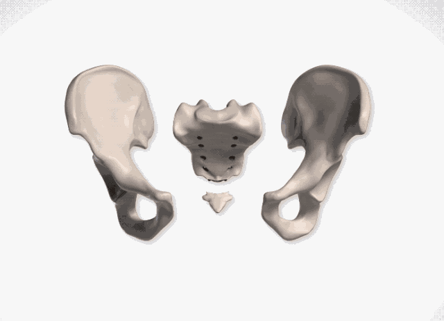 [新氧App]张天爱紧身西服泳装上热搜，但这骨盆前倾隔着屏幕都觉得疼！
