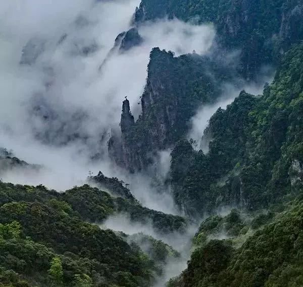 中国“醉美摄影旅游目的地”——贵州梵净山