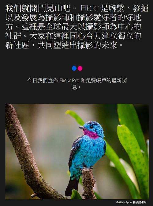 「爱范儿」再没用户付费就活不下去了，Flickr 也太惨了吧