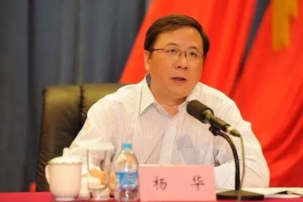 重大人事变动!杨华任中化能源董事长