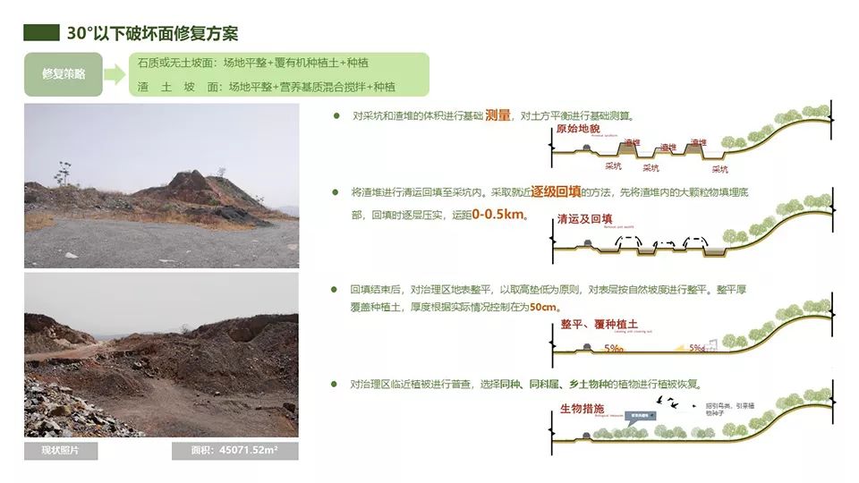 生态修复的相关高频词汇有哪些