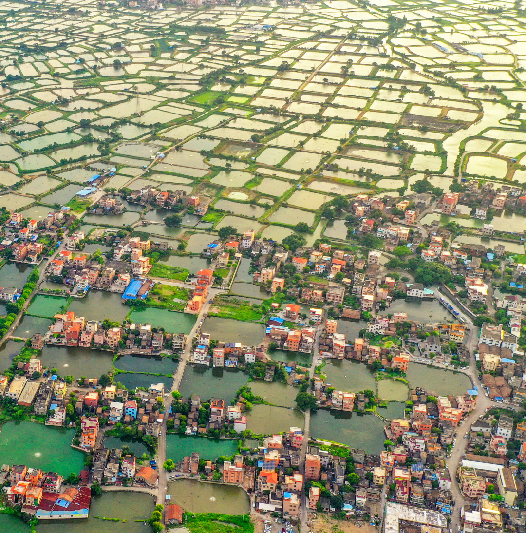 沿海人民是如何喂饱中国的？| 地球知识局