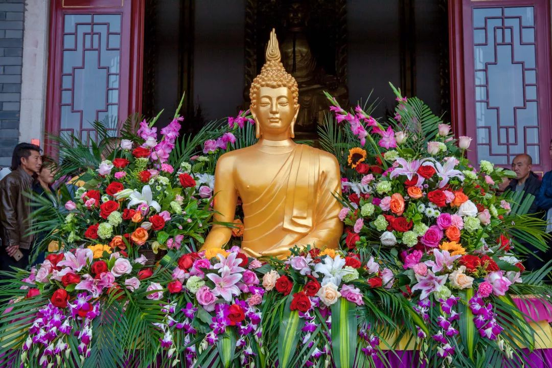 花与佛教有哪些联系,佛前为何需要供花?
