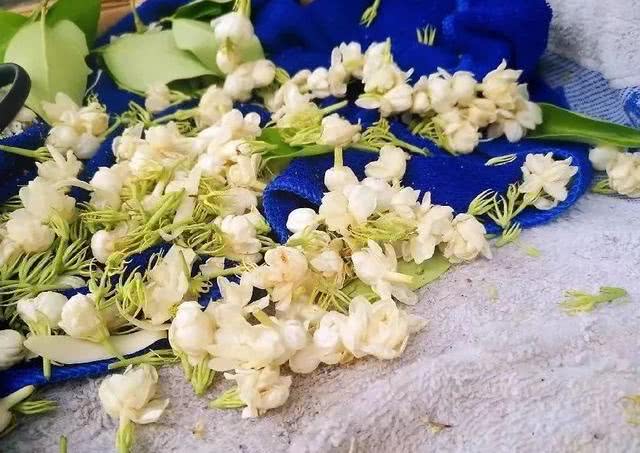 云南人用鲜花做成美食菜，好看又好吃