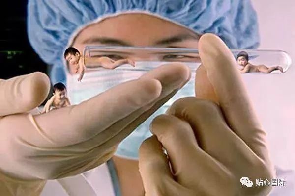 成都做试管婴儿费用（【贴心医生】试管婴儿过程是怎样的？有最详细的试管解说步骤！）