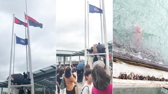 突发：旺角游行暴徒再辱国！拆下国旗扔入海中
