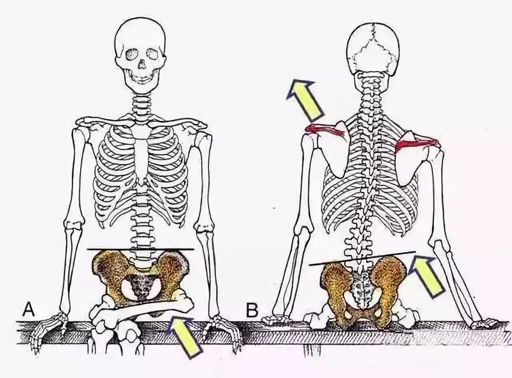 [新氧App]张天爱紧身西服泳装上热搜，但这骨盆前倾隔着屏幕都觉得疼！