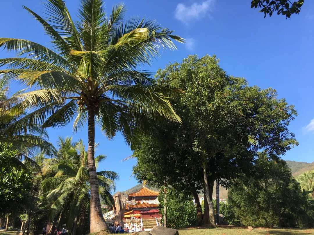 这个冬天不得不来海南旅游的十个理由!__凤凰网