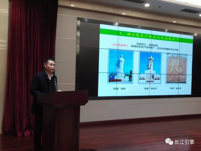 中国农科院茶叶研究所研究员曾建明作《全国茶叶栽培与育种技术推广