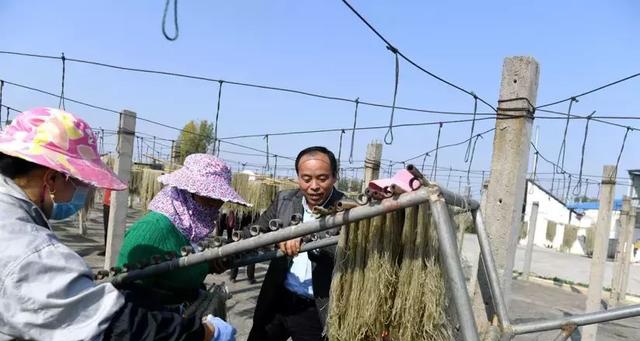 辞去上海老板，放弃百年年薪，他回“中国改革第一村”做淘宝