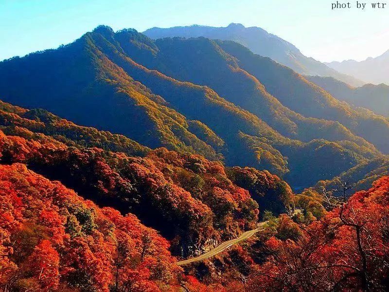 这里是金寨马鬃岭,无需粉黛,亦秋韵深浓!