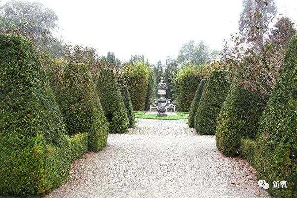 「新氧App」中国第一位伯爵夫人竟是现实版的紫菱？玛丽苏女主本体！