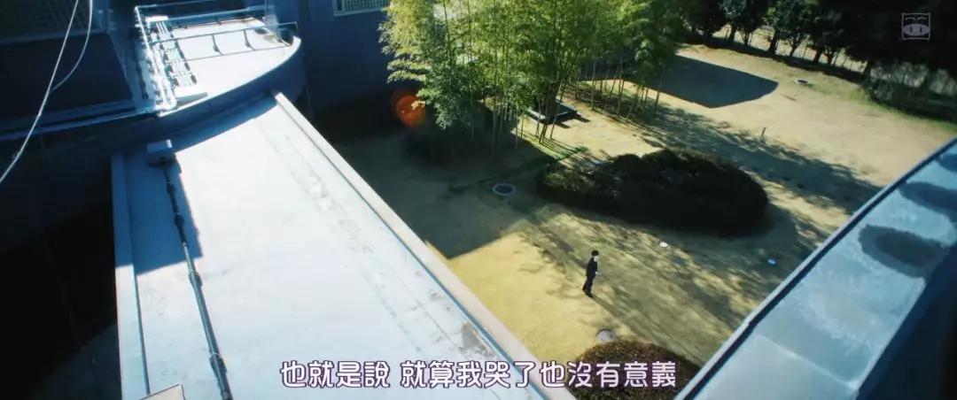「电影通缉令」日影年度爆款，太太太特别了