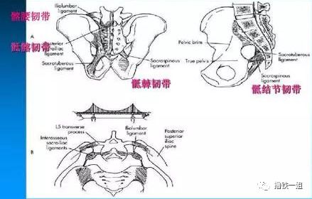[新氧App]张天爱紧身西服泳装上热搜，但这骨盆前倾隔着屏幕都觉得疼！