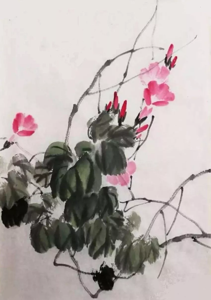 《花香虫鸣》画法,齐白石的《枫叶寒蝉图》,功夫确实不一般