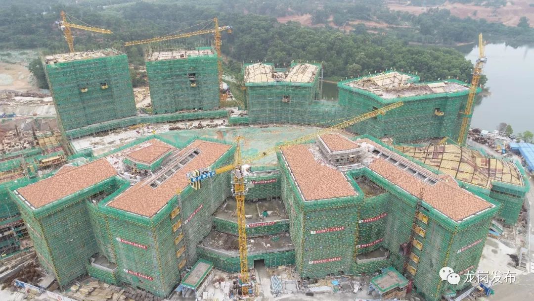 4800个学位！龙岗这两所新建学校最新消息来了~__凤凰网