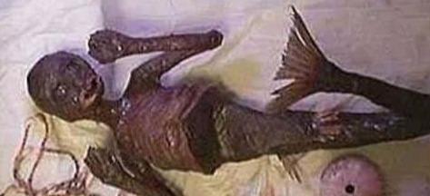 童话里的故事不是骗人的,美人鱼或许真的存在