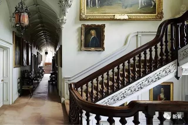 「新氧App」中国第一位伯爵夫人竟是现实版的紫菱？玛丽苏女主本体！