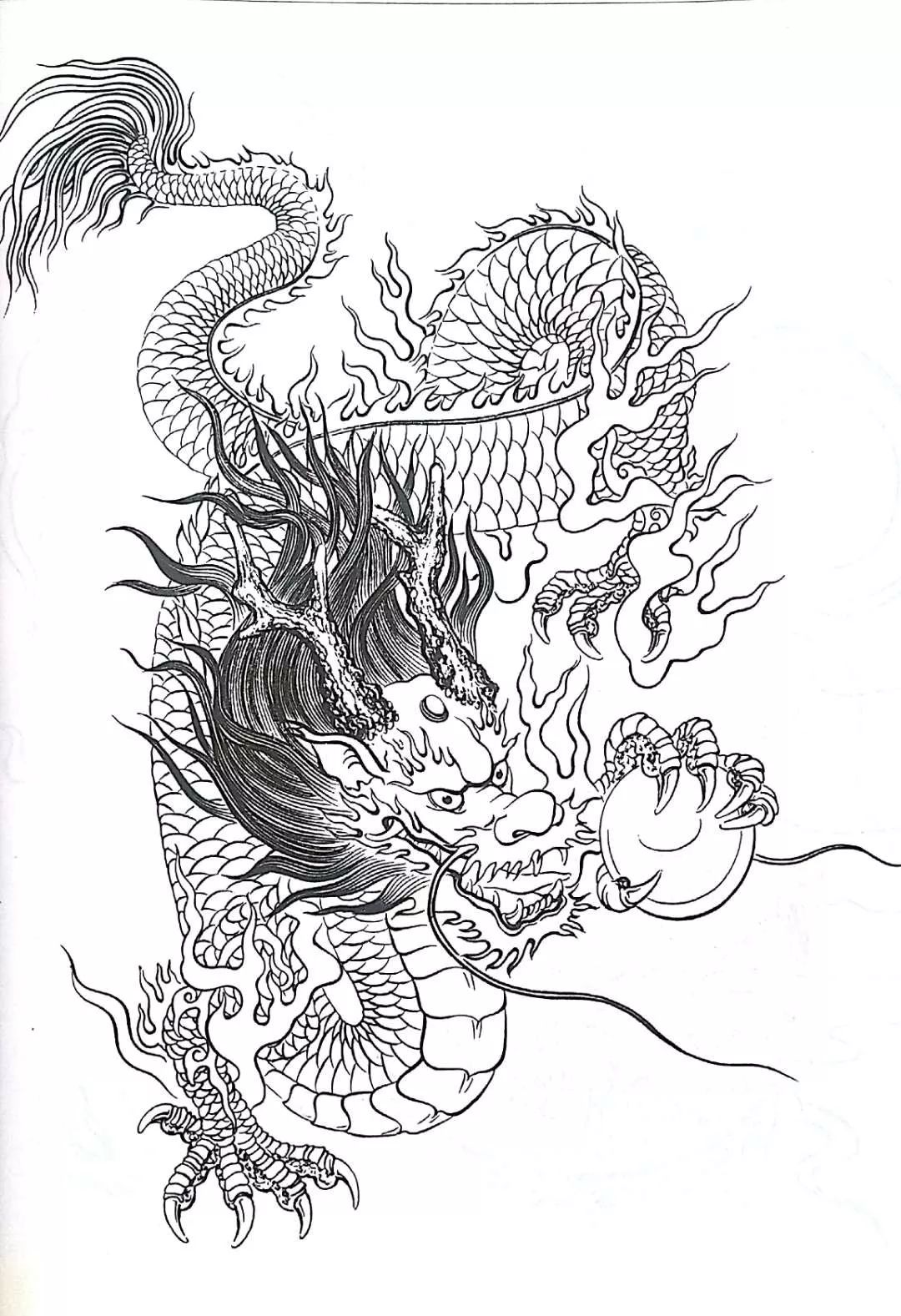 龙素描图片欣赏(2)_我爱素描网