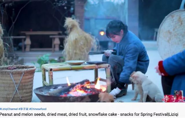 「南方都市报」李子柒的商业版图