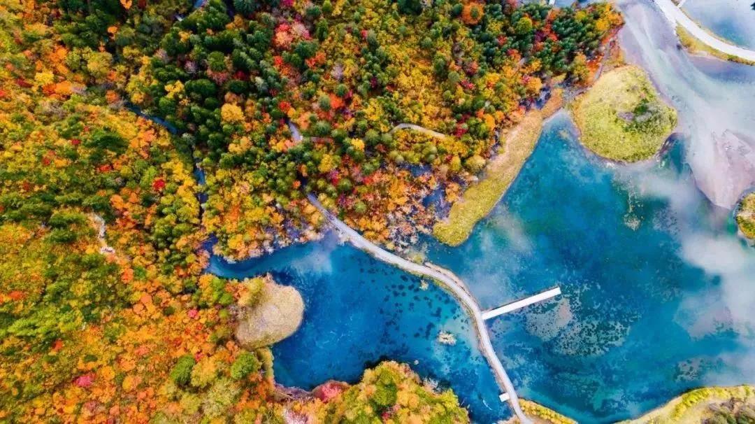 就在本月26日,2019四川红叶生态旅游节(主会场)暨理县米亚罗红叶温泉