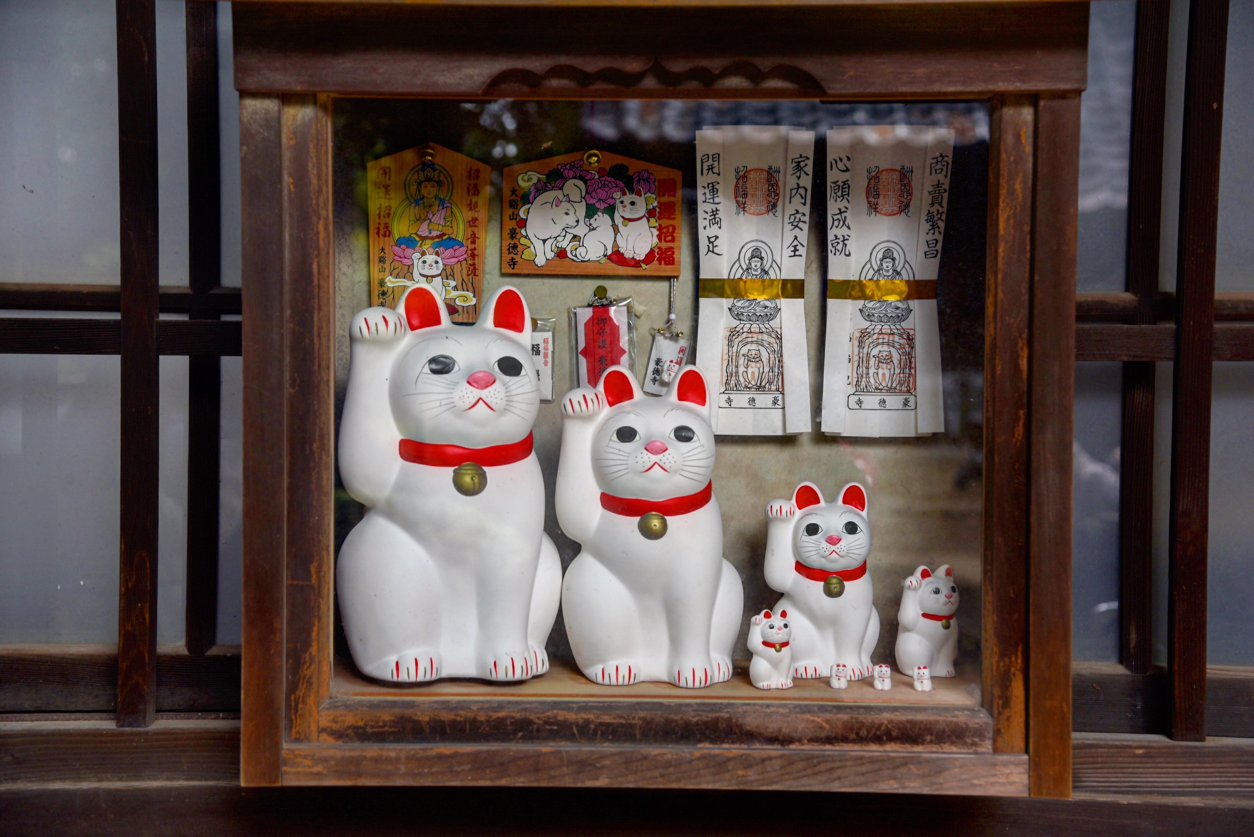 日本这个寺庙里竟有上千只招财猫，被认为是招财猫的发祥地__凤凰网