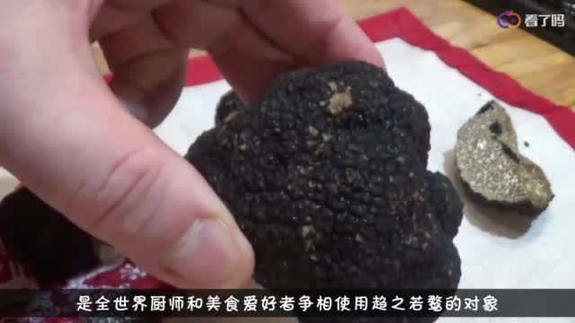 世上最昂贵的食材，也是最美味的食材，1483克卖到110万