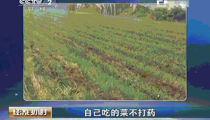 用它一泡，杀死3000多万细菌，60多种农残激素