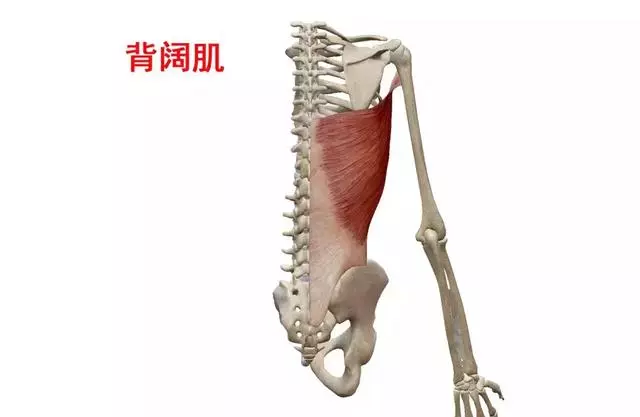 背部常见的十个问题，你遇到过几个？
