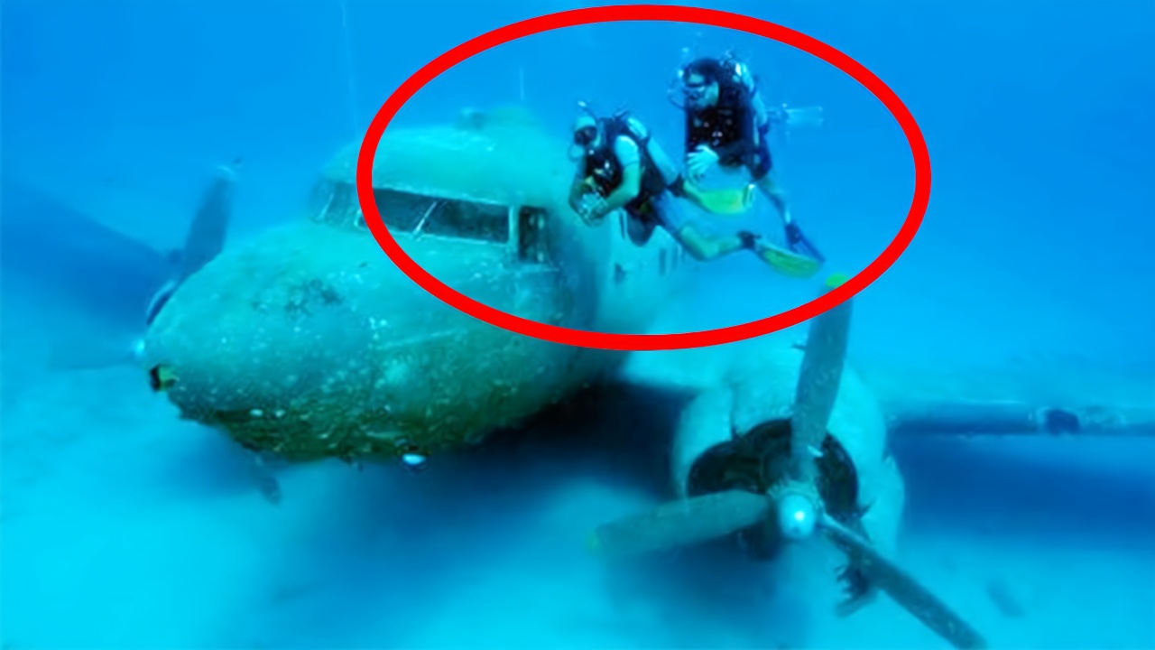 老外在深海里潜水,无意间发现飞机残骸!靠近后却被吓到了