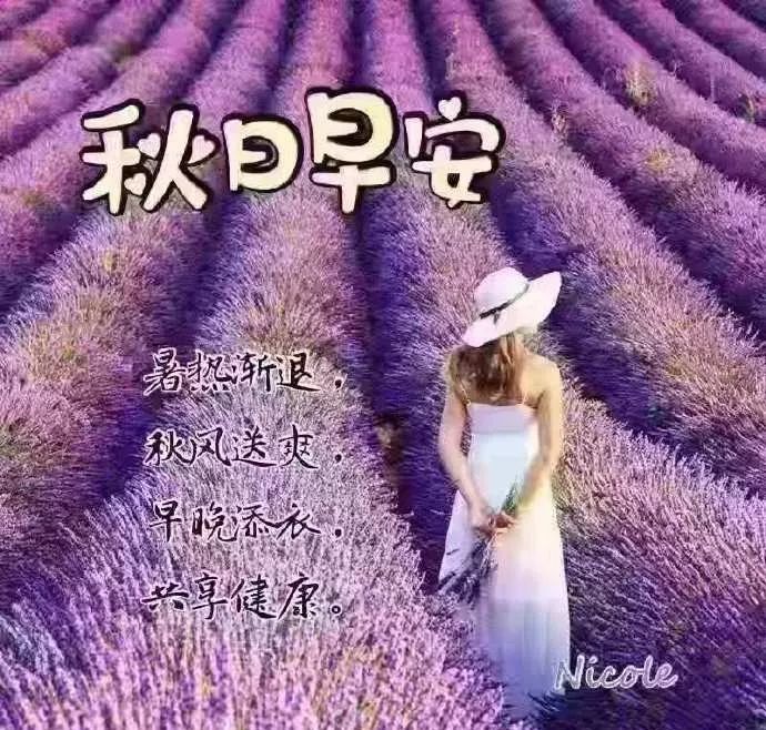 朋友圈早安暖心祝福美女问候，秋天天凉了的问候暖心句子（秋天微凉的早安心情说说）