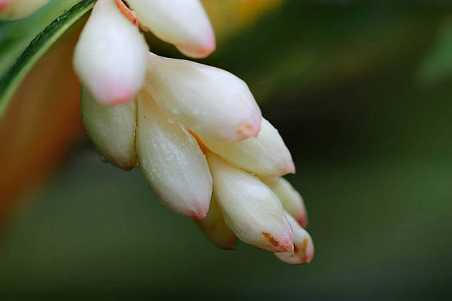 b7cc9eb7ca3541668f1122c301f698f9.jpg b7cc9eb7ca3541668f1122c301f698f9.jpg